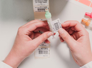 Probenröhrchen werden mit Barcodes beklebt