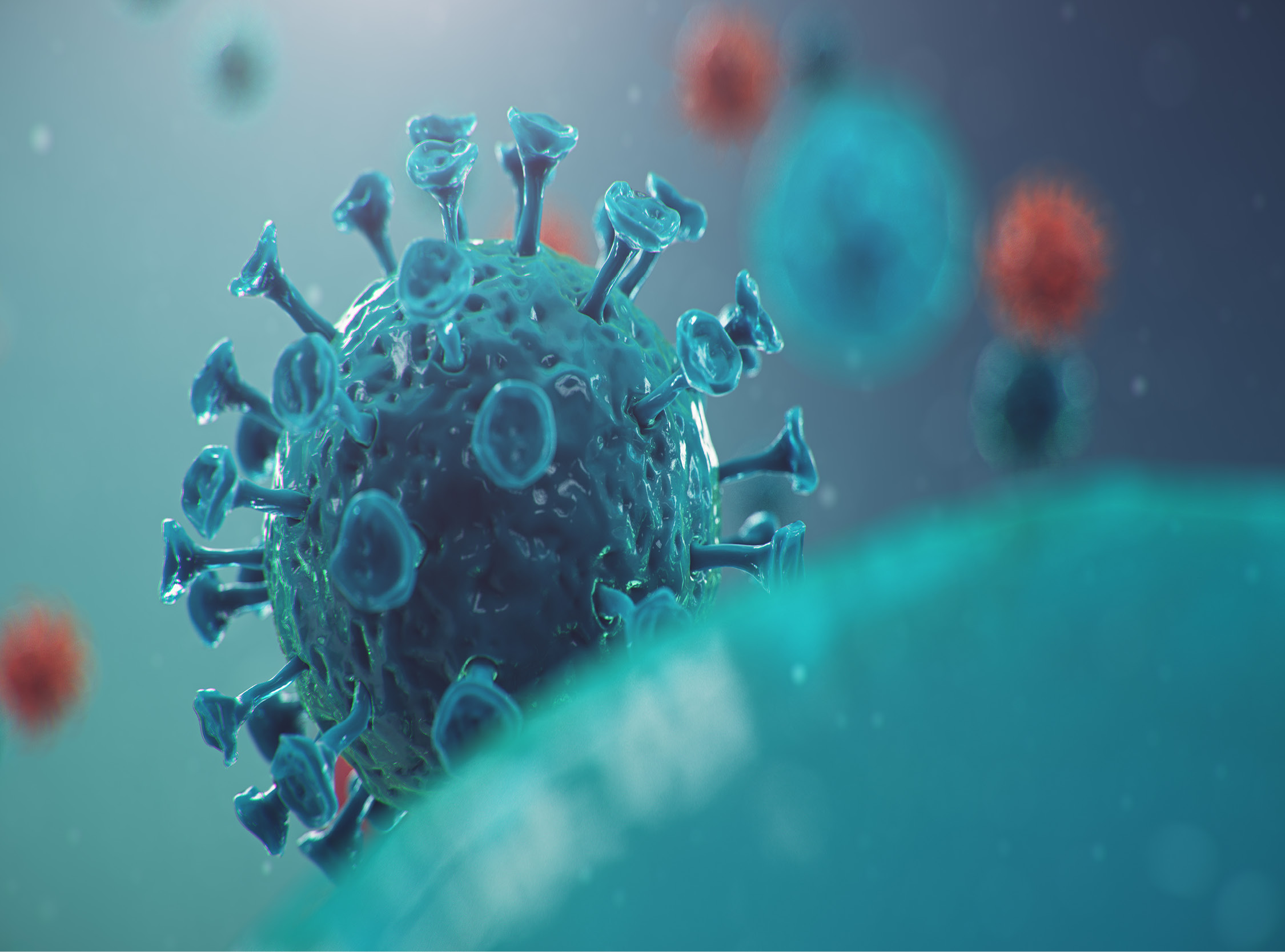 Coronavirus