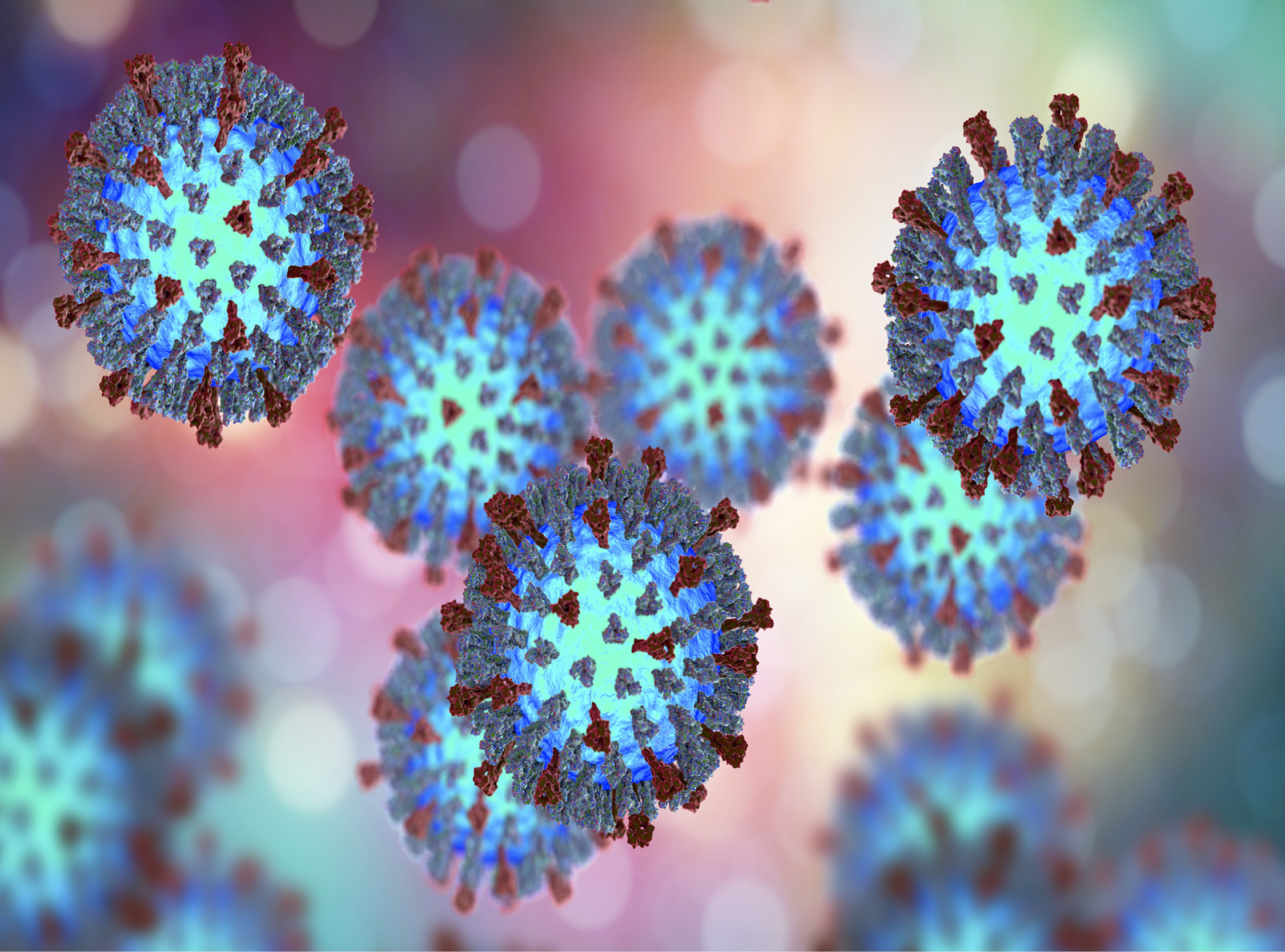 Coronavirus 2